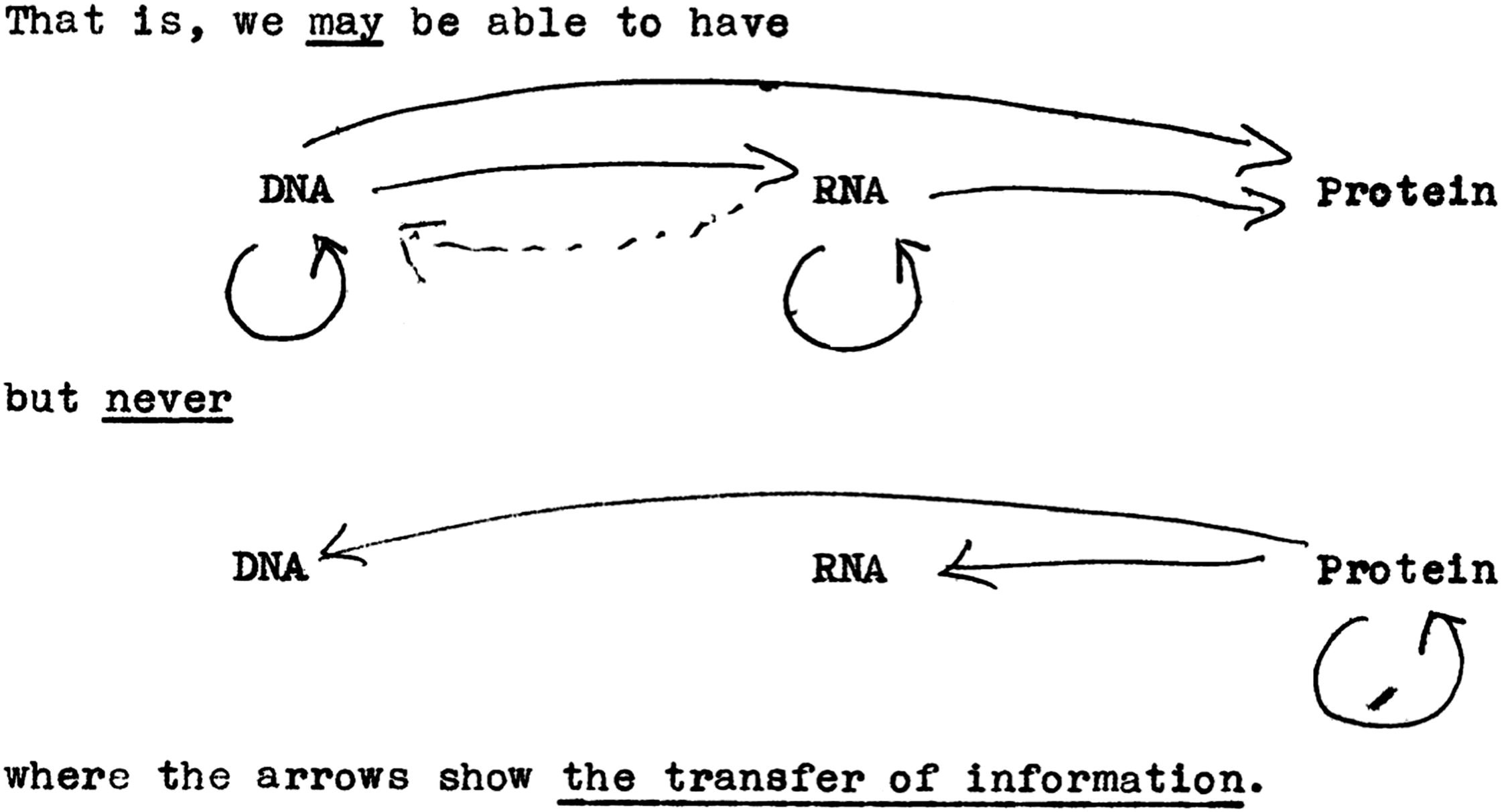 Milestones in the history of mRNA (vaccines) - Part 1